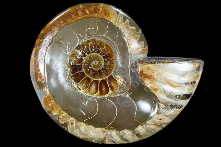 Wide Polished Ammonite Dish - Inlaid Ammonite #117481